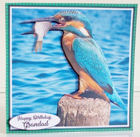 Kingfisher Birthday by Pam Stubley