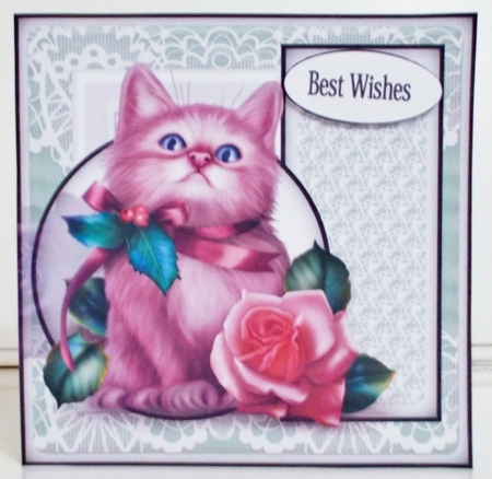 love your kitten  by Pam Stubley