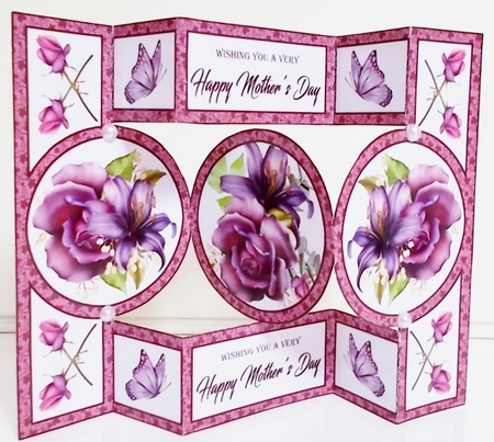 Triflod Shutter Purple rose MD by Pam Stubley