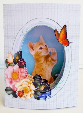 Ginger Kitten 3D Pop Out Concertina Box Card Kit & Envelope Folds Flat For Posting by Pam Stubley