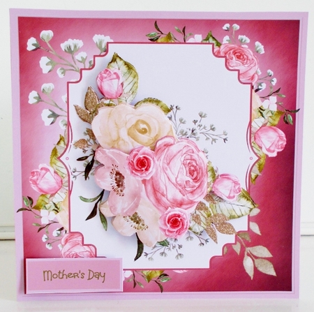 Pink rose and poppy by Pam Stubley
