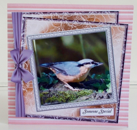 NEW STASH TOP UP NUTHATCH by Pam Stubley
