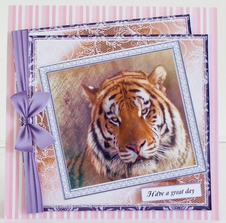 NEW STASH TOP UP TIGER by Pam Stubley