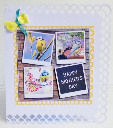 BLUE TITS 6X6 by Pam Stubley