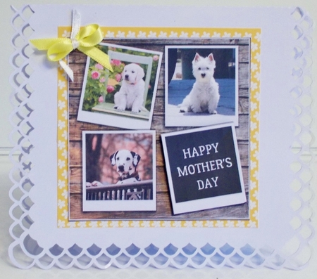 CUTE DOGS 6X6 by Pam Stubley