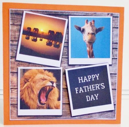 ON SAFARI 6X6 by Pam Stubley