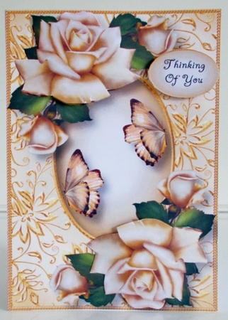 Gilded Frame & Antique Roses A5 by Pam Stubley