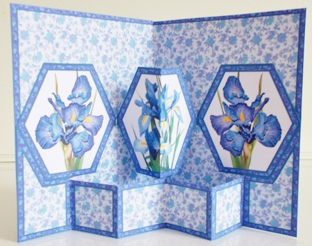 Hex Blue Irises by Pam Stubley