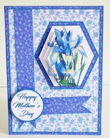 Hex Blue Irises by Pam Stubley