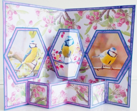 Hex Birds & blossoms by Pam Stubley