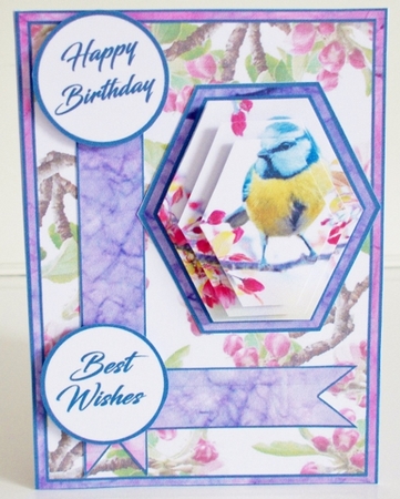 Hex Birds & blossoms by Pam Stubley
