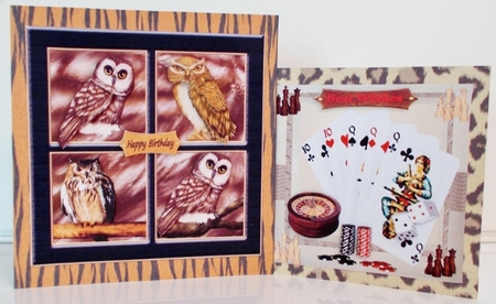 The Wild Backgrounds  by Pam Stubley