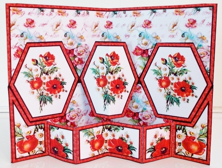 Hex Poppies & daisies by Pam Stubley