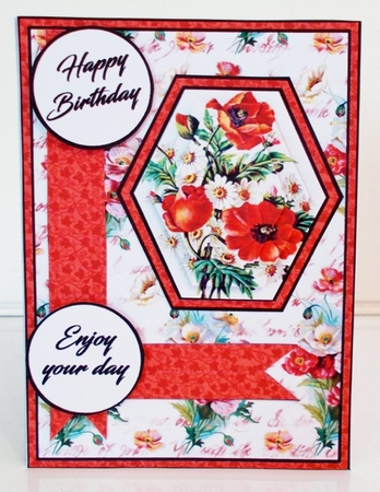 Hex Poppies & daisies by Pam Stubley