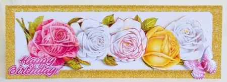 Pretty border of roses with butterfly DL (One) by Pam Stubley