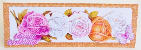 Pretty border of roses with butterfly DL (two) by Pam Stubley