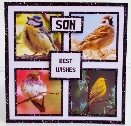 Garden Birds Male Birthday by Pam Stubley