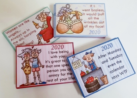 2020 UK Easy Fold Purse Calendars Pearls of Wisdom Humorous Bumper Kit by Pam Stubley
