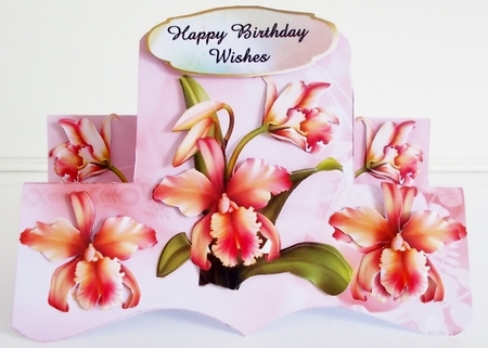 beautiful flowers for many reassons by Pam Stubley