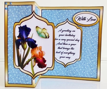 FB Dark Irises by Pam Stubley