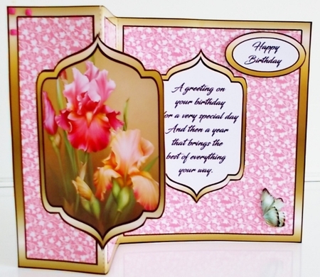 FB Pink Irises by Pam Stubley