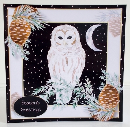 Christmas Moon Owl 8x8 by Pam Stubley