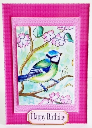 Blue Tits In Spring by Pam Stubley