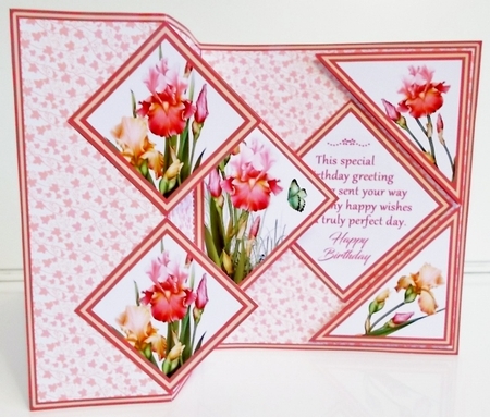 FBPS Pink Irises by Pam Stubley