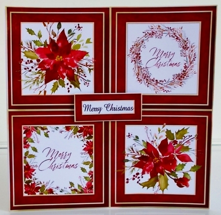 The Scarlet Poinsettia Quad Frame 8x8 by Pam Stubley
