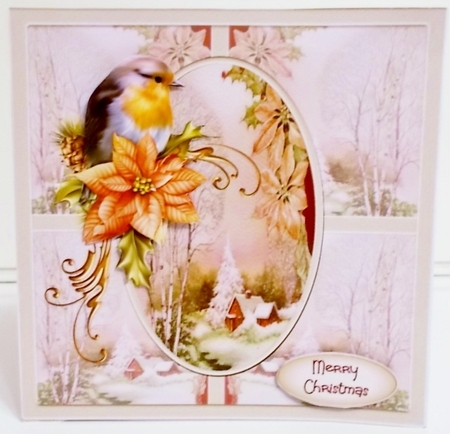 Robin and poinsettia by Pam Stubley