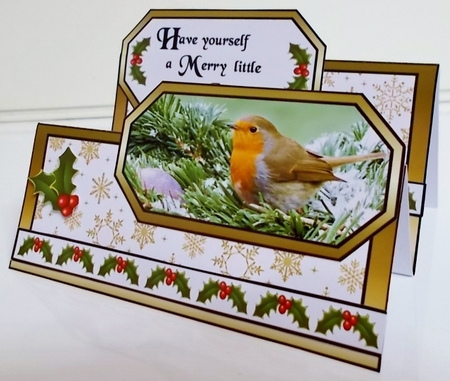 DT Robin red breast by Pam Stubley