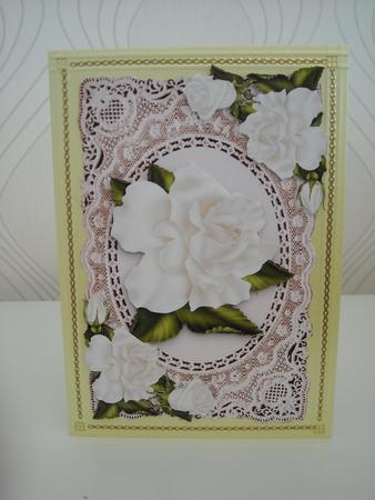 Cream Rose on Ecru Vintage Lace with Butterflies by Pam Stubley