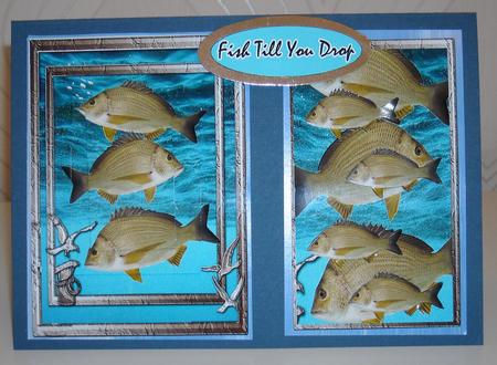 Fish Till You Drop by Pam Stubley