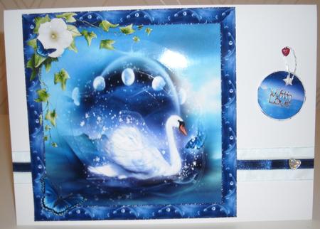 The Moonlight Swan by Pam Stubley