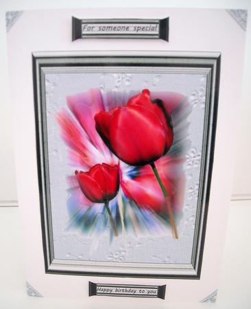 My Red Tulip, in Silver Frame by Pam Stubley