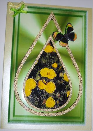 Yellow Daisy 1 by Pam Stubley