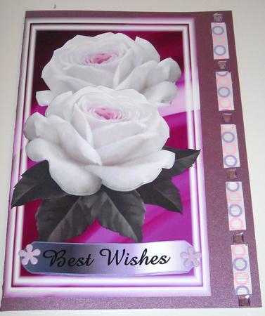 Two White Rose's by Pam Stubley