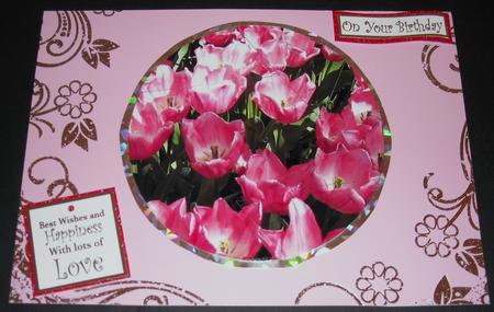 Pink Tulips Circle Camera Eye Stacker by Pam Stubley