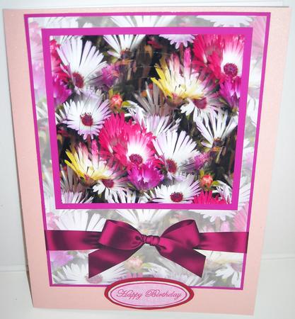 Livingstone Sweet by Pam Stubley