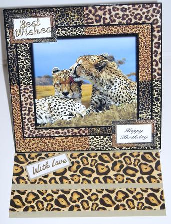 The Cheetah's Kiss 8x8 by Pam Stubley