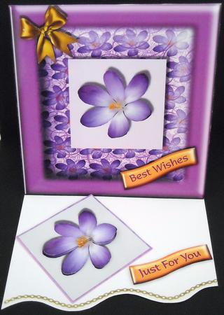 Lilac Crocus Square Card Front by Pam Stubley