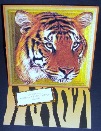 Grrrr - happy Birthday Tiger by Pam Stubley