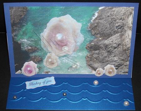 Pearls in a Shell by Pam Stubley