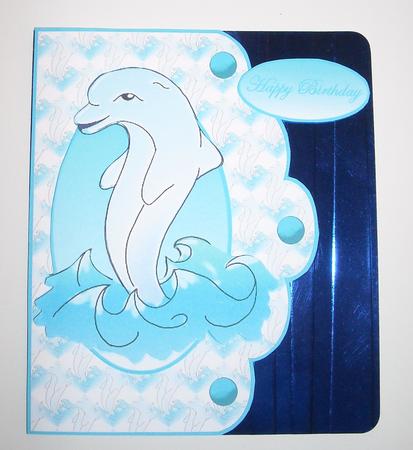 Cute Dolphin by Pam Stubley