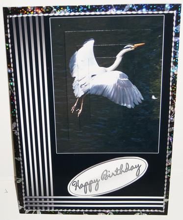 Heron in Flight Birthday or Father's Day Card by Pam Stubley