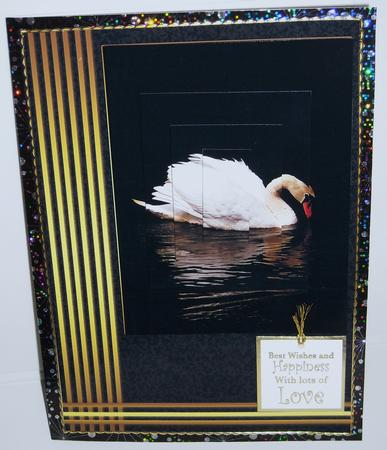 Swan Gold and Black Birthday Card by Pam Stubley