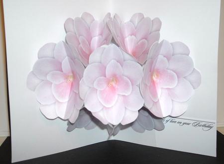 Floral Splendour by Pam Stubley
