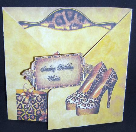 Criss Cross Gate Fold Shoe by Pam Stubley