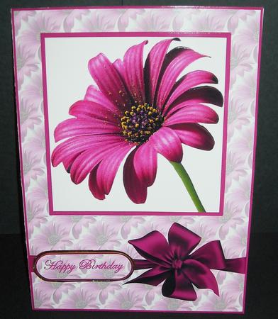 Cerise Beauty by Pam Stubley