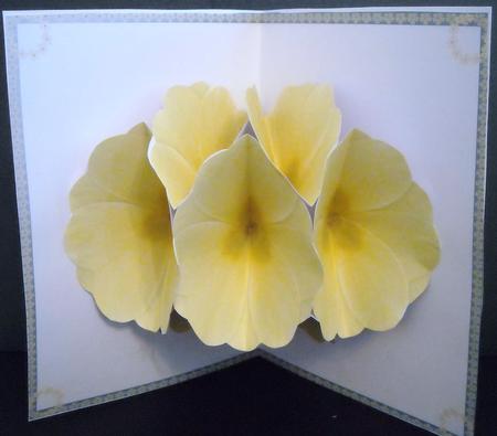 Primrose Bouquet Featured Gallery Photo
